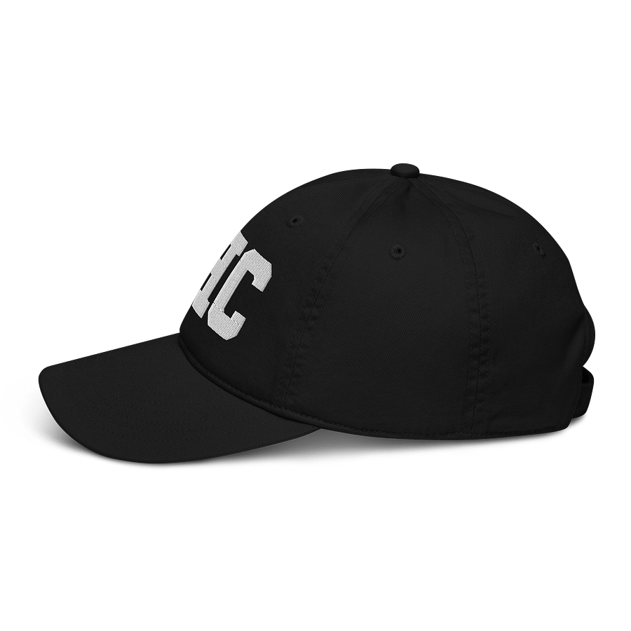BHC Organic Dad Hat by Econscious product image (3)
