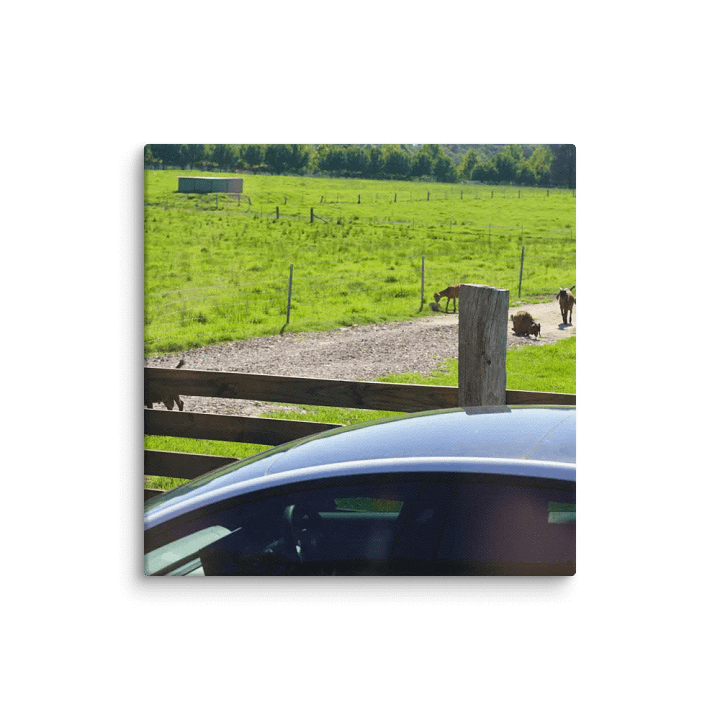 Country Future Canvas product image (2)