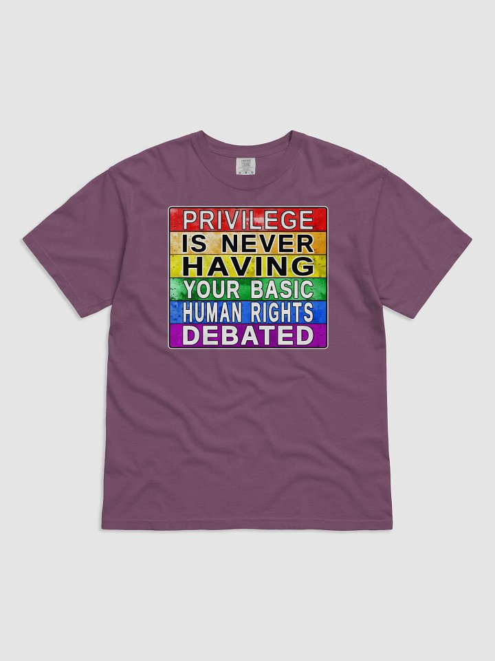 Privilege Is Never Having Your Basic Human Rights Debated T-Shirt product image (6)