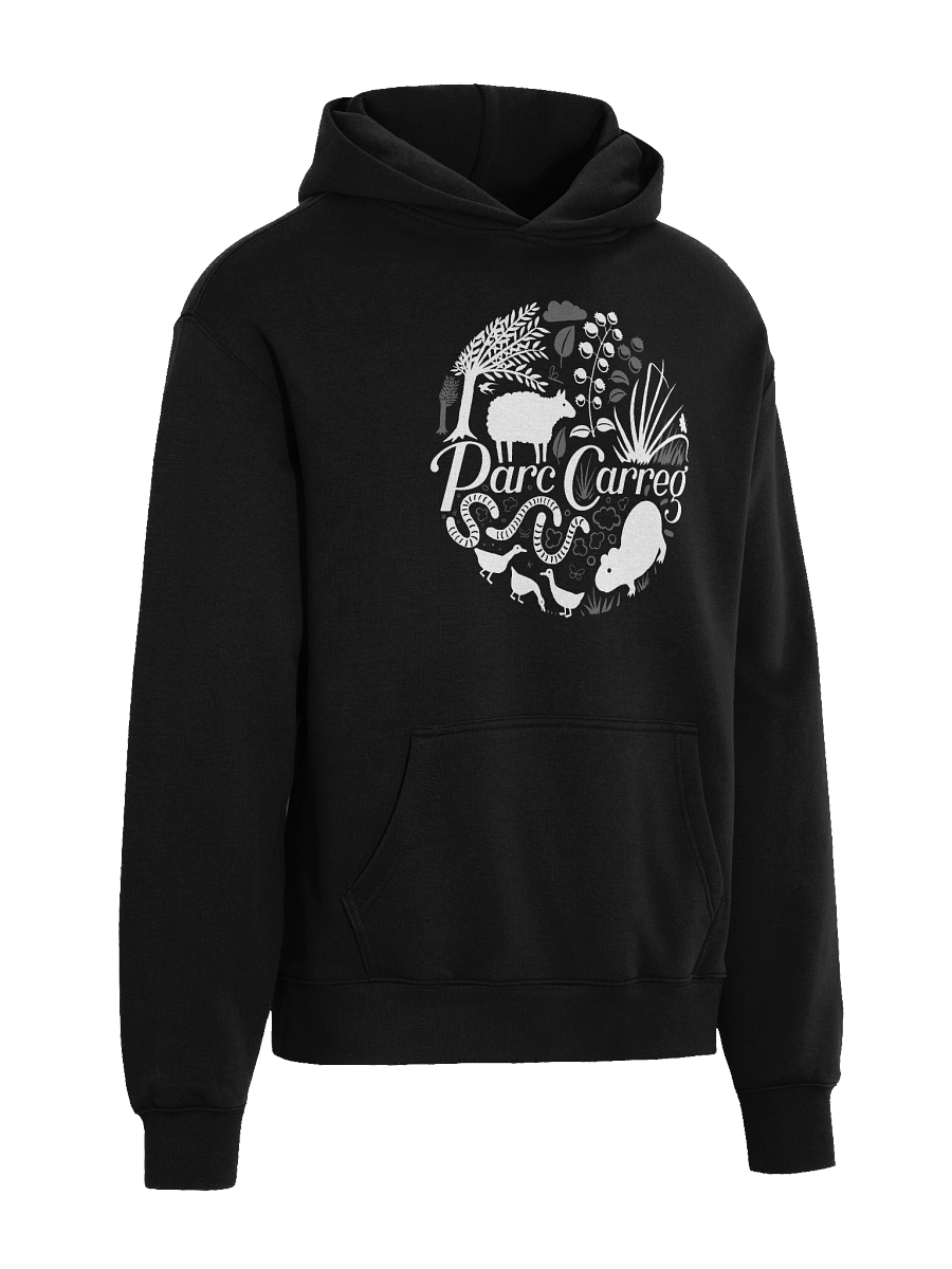 Parc Carreg Hoodie product image (2)