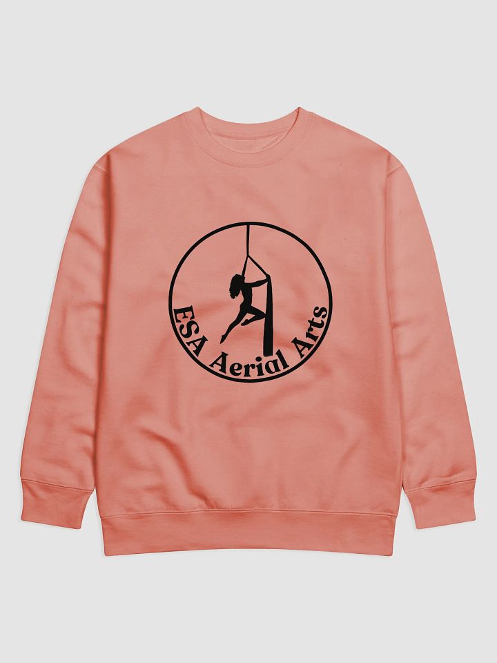 ESA Aerial Arts Premium Sweatshirt product image (6)