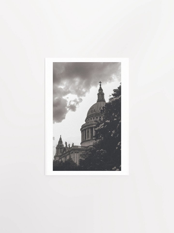 Flowers of St. Paul - Black & White / Print product image (3)
