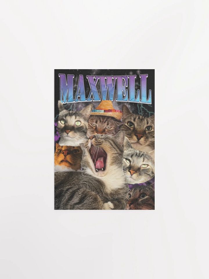 Many Faces of Maxwell - Poster Edition product image (2)