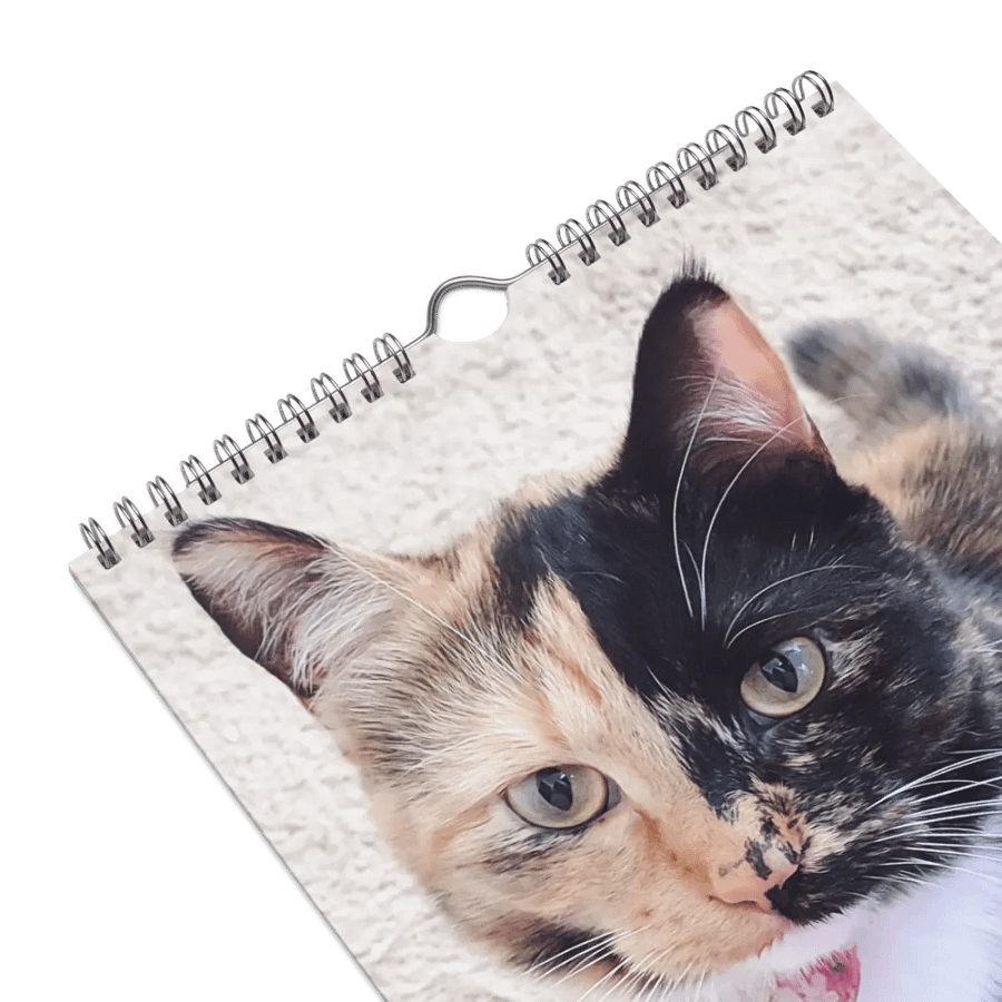 2024 Lyra Calendar product image (8)