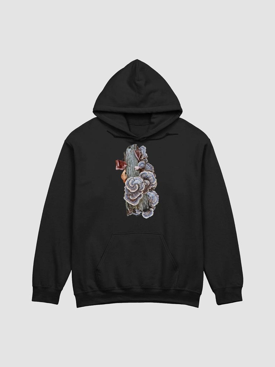 Turkey Tail Hoodie product image (2)