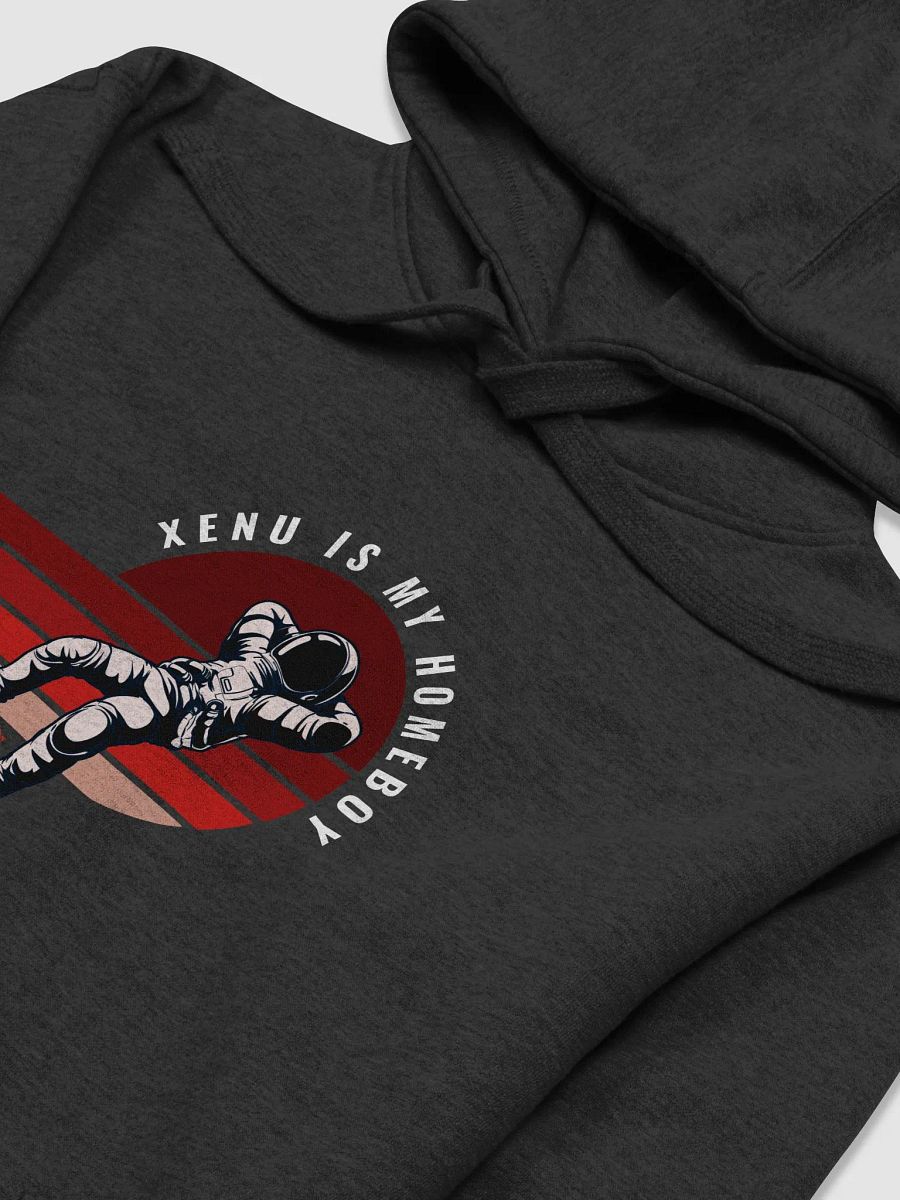 Xenu Is My Homeboy - Unisex Hoodie product image (3)