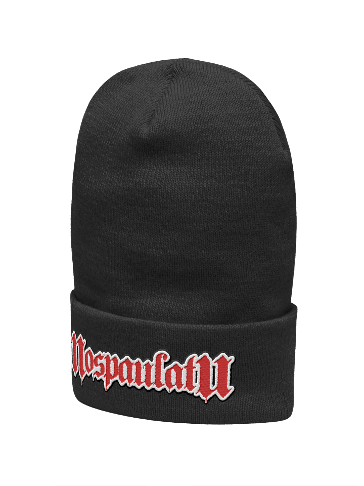 Embroidered Logo Winter Hat product image (2)