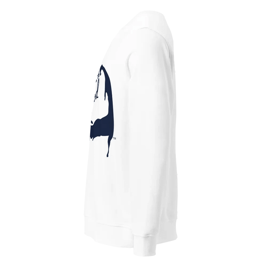 BOURNE to Cape Cod™ | DTG Vintage Print | Cozy Classic Navy Logo Sweatshirt – Cape Vibes, All Day, Every Day product image (3)