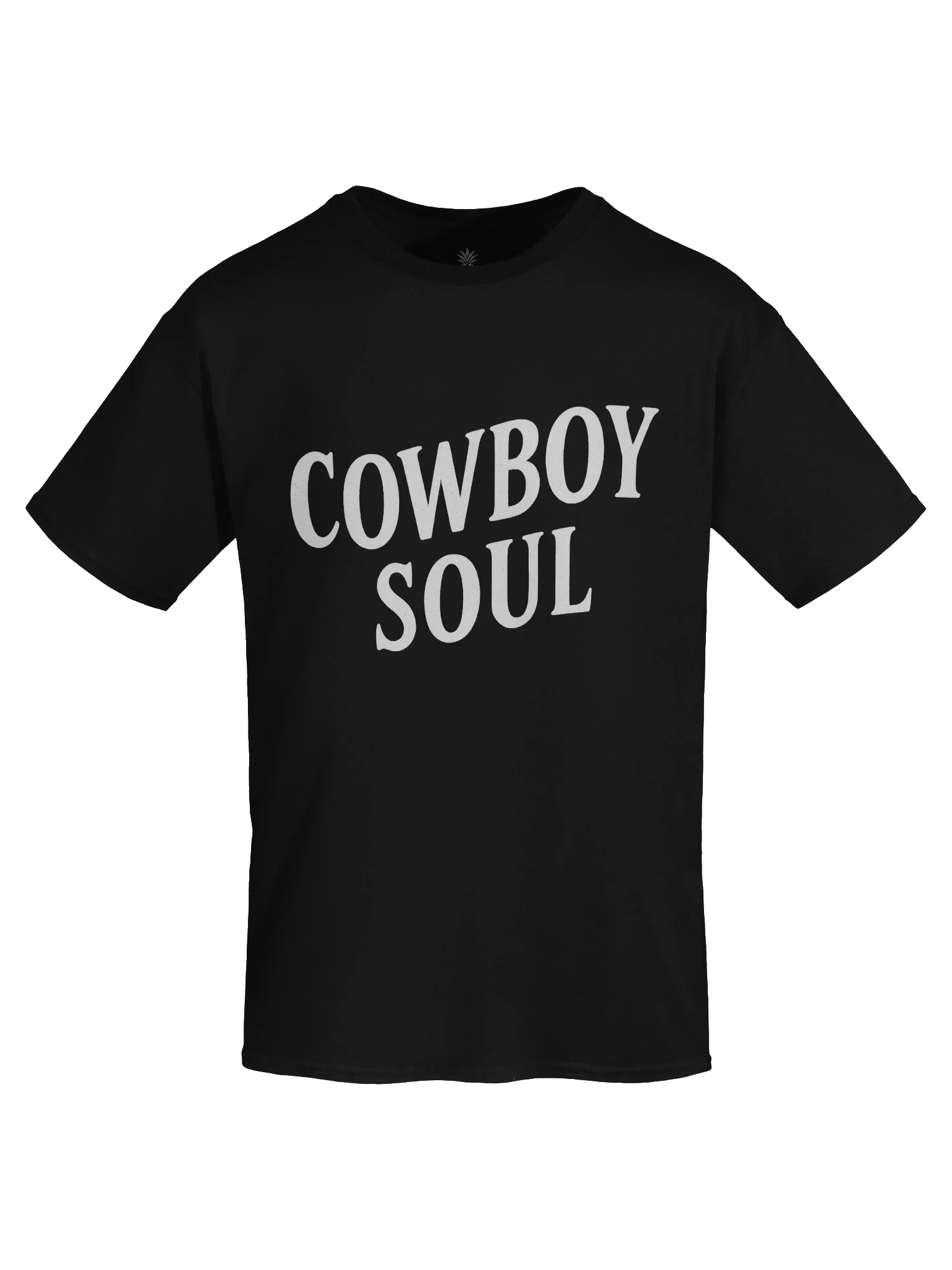 Cowboy Soul Texas Boxy Fit Unisex T-Shirt product image (55)