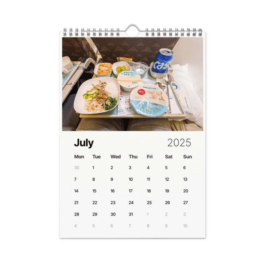 2025 Wall Calendar - Best Of: Airplane Food - (A3 or A4) product image (6)