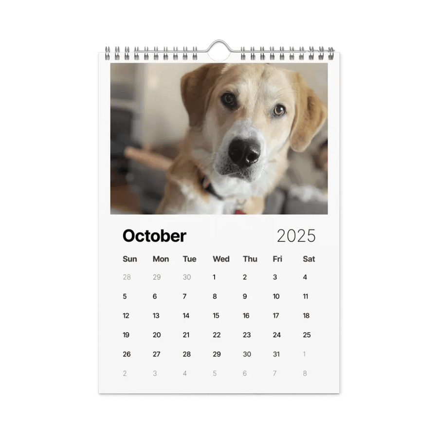 2025 Doggo Calendar product image (12)