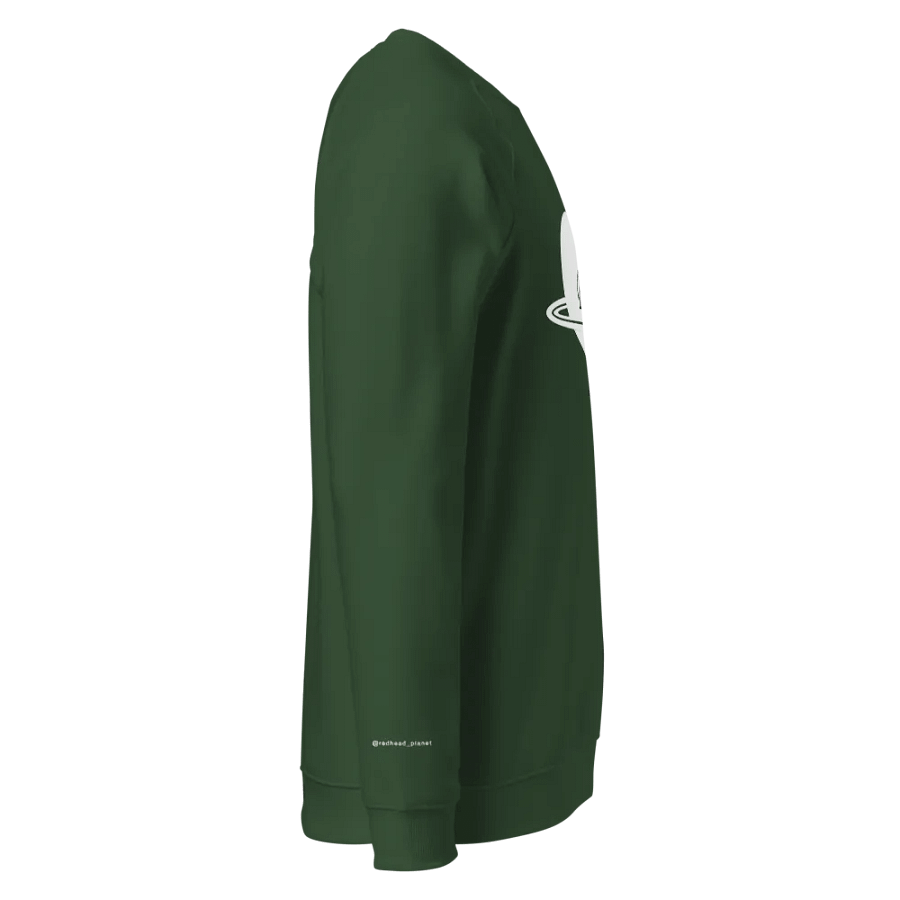 Blessed Sweatshirt product image (4)