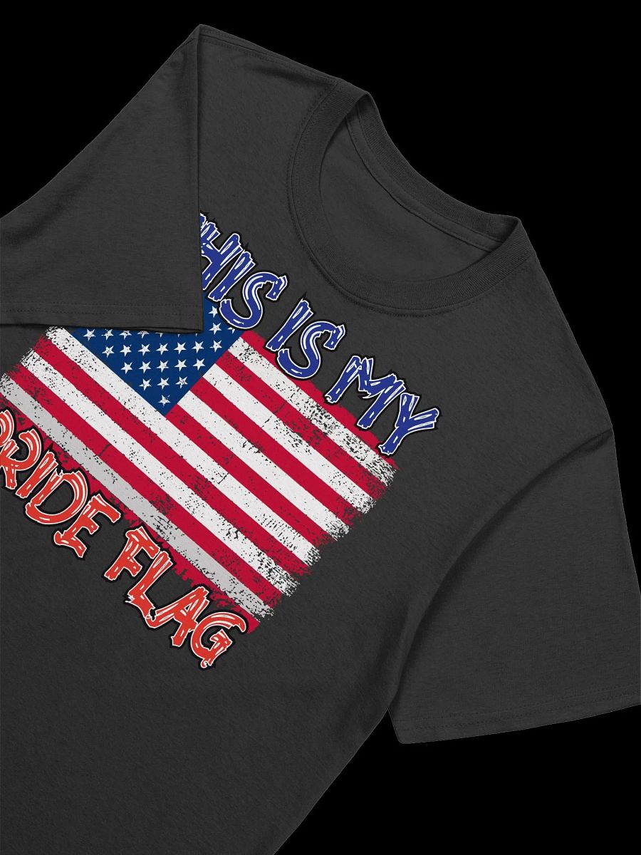 This is My Pride Flag-American Pride Flag Redefined T-Shirt product image (19)