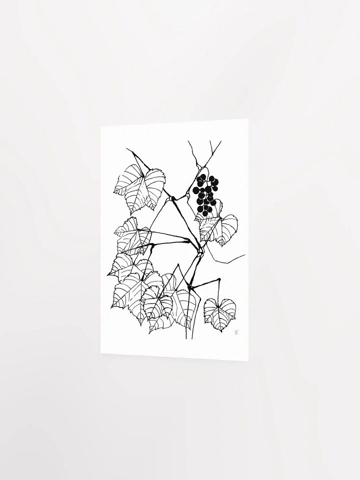 Enchanting Botanical Illustration Poster - Fine Grape Leaves product image (2)