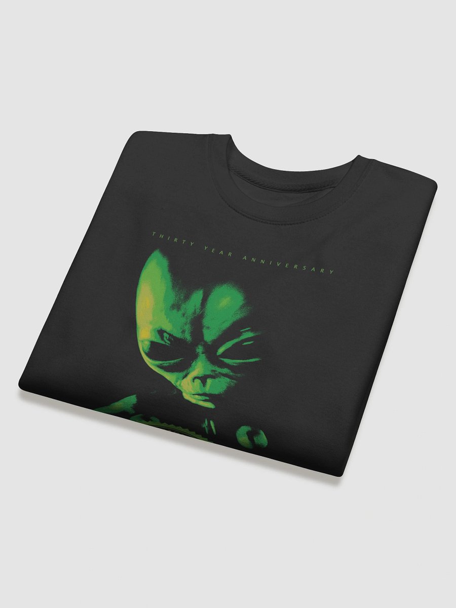 Ozark Mountain UFO Conference Logo 2017 product image (28)