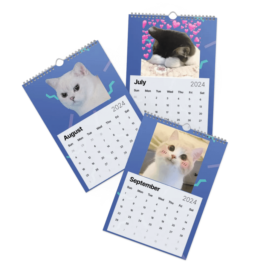 Wall Calendar (2024): Meme Cats product image (11)