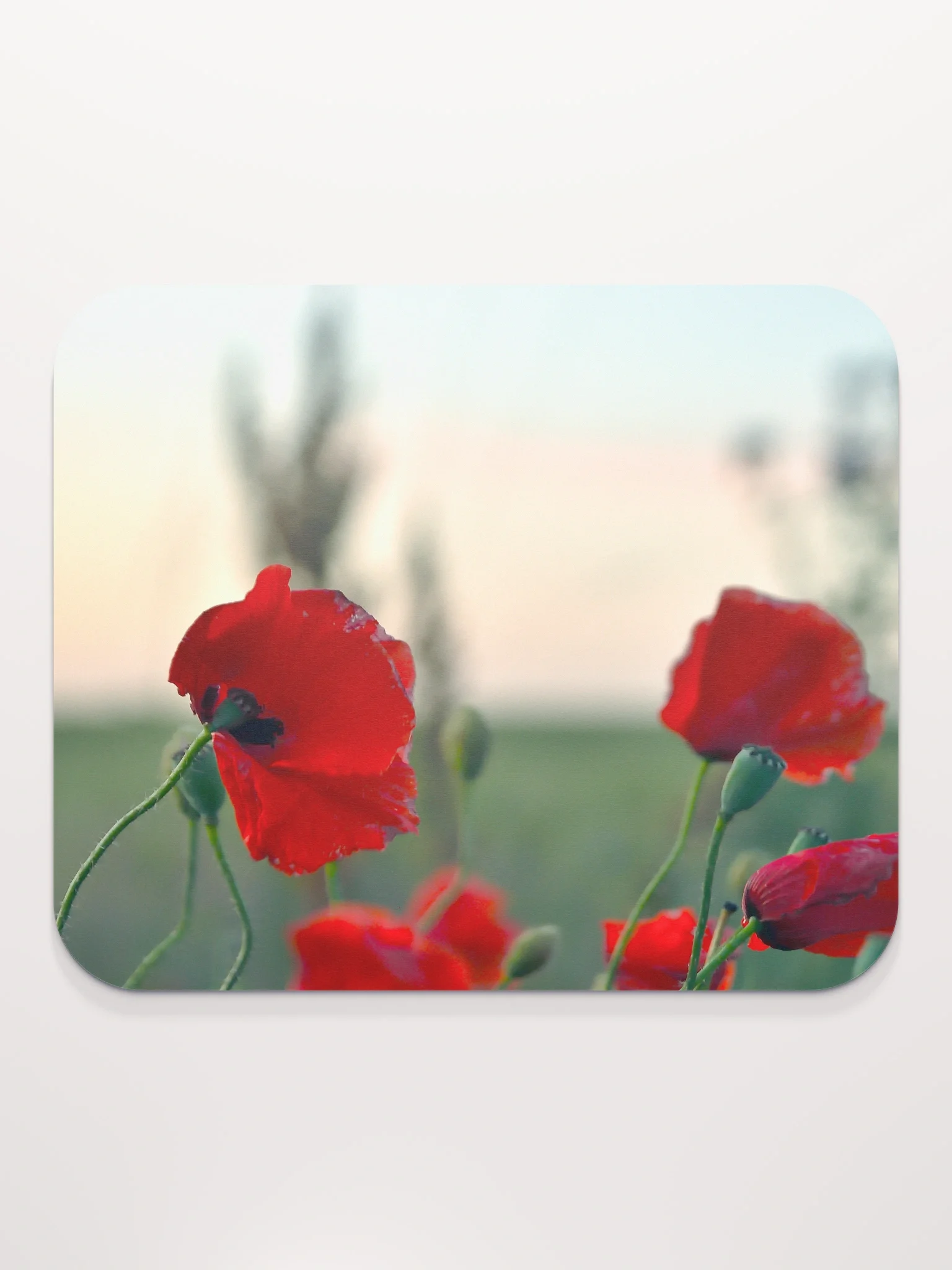 Mauspad - Mohnblüten product image (2)