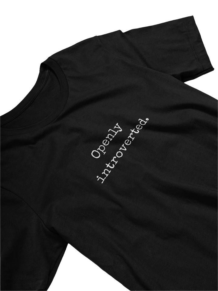 Openly Introverted Tee product image (2)