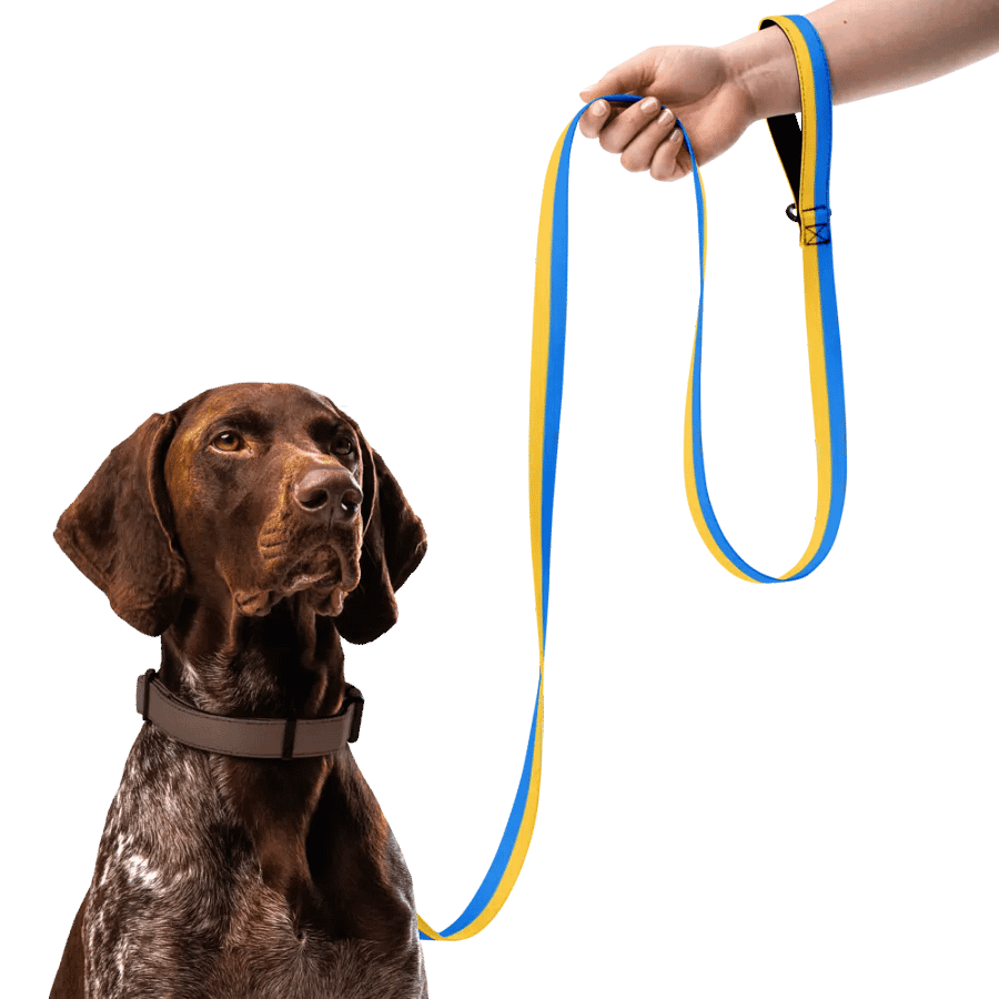 Sunset Stripes Pet Leash product image (7)