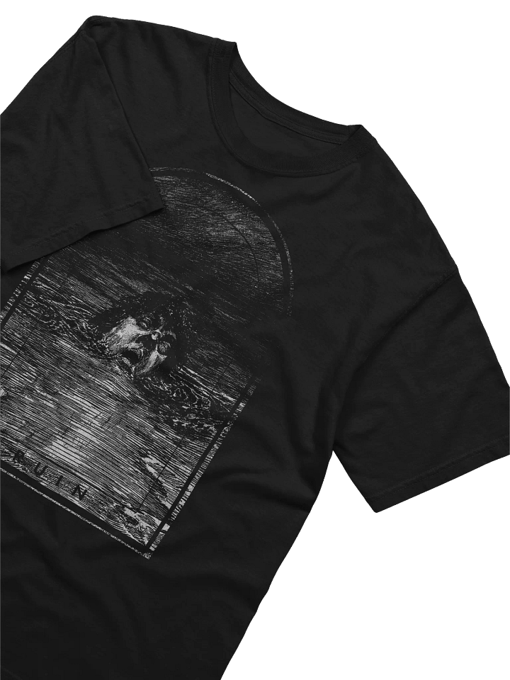 Ruin BLACK TEE product image (2)