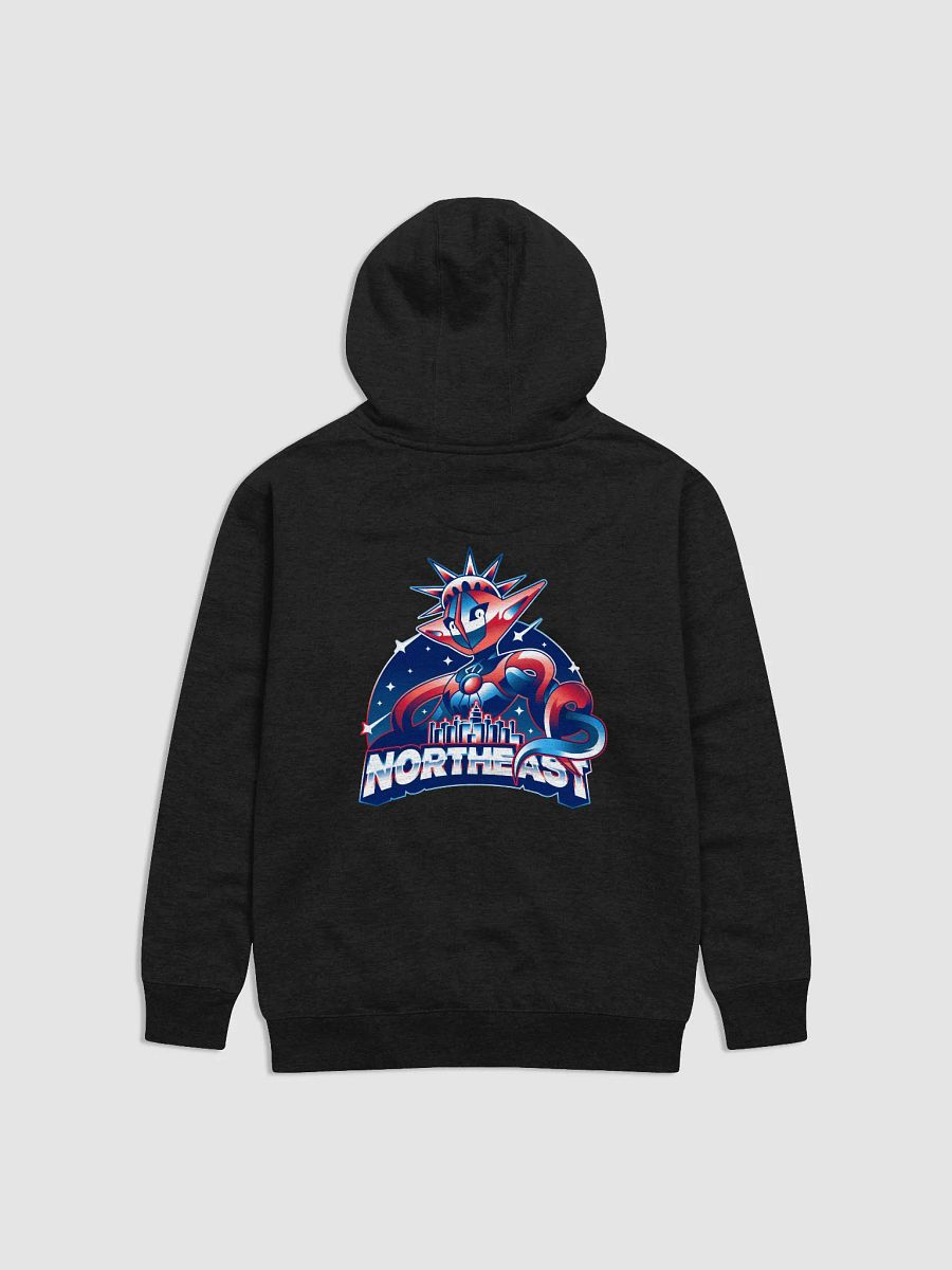 Team US Northeast Hoodie product image (1)