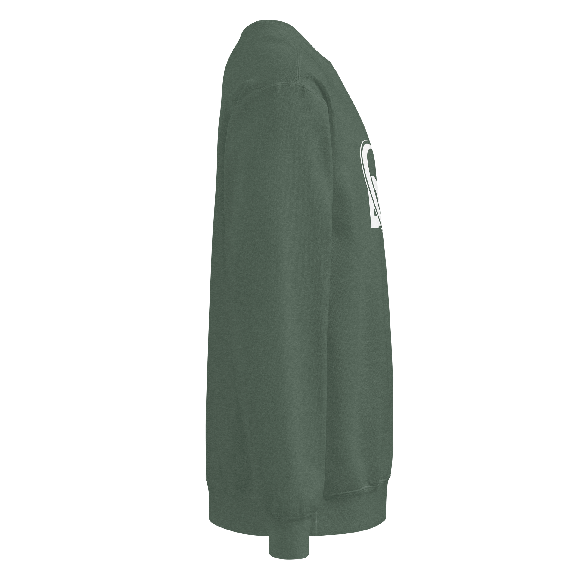 Dynamic DCG Logo Unisex Sweatshirt product image (18)