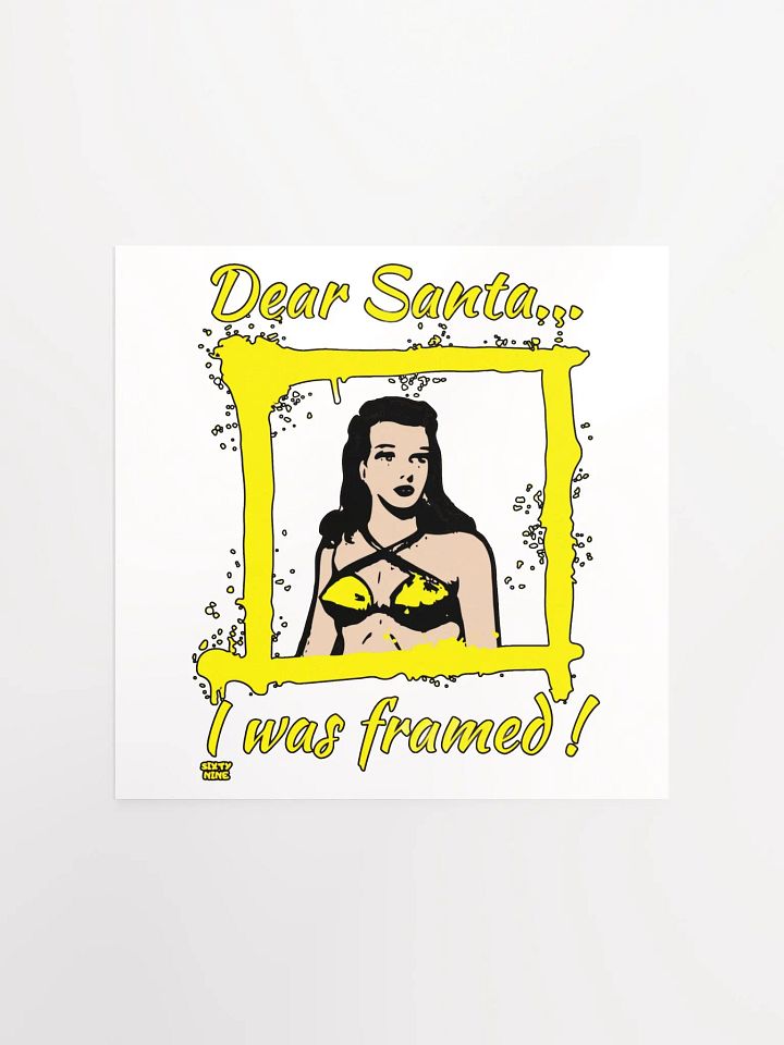 DEAR SANTA, I WAS FRAMED! product image (2)