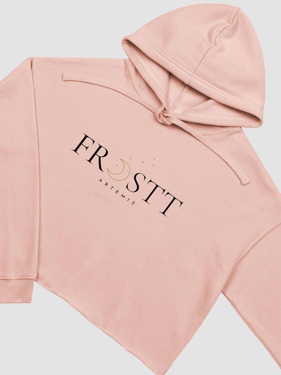 Artemis Cropped Hoodie product image (7)