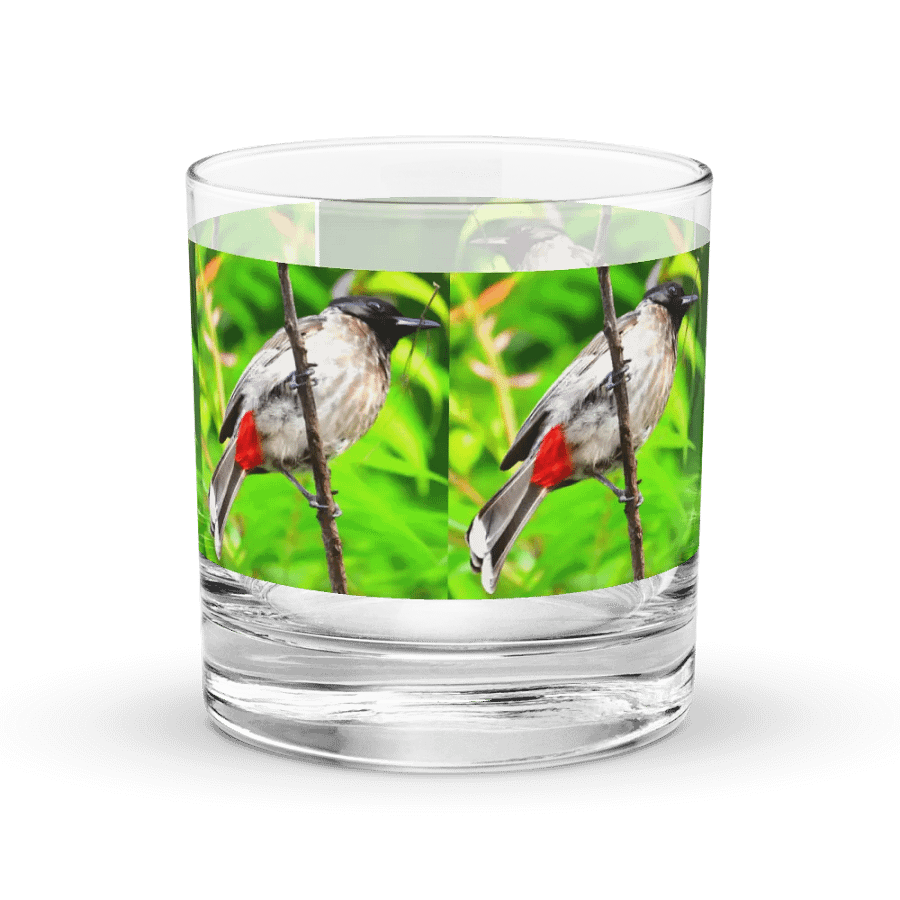 IUCAA Birds GLASS product image (4)