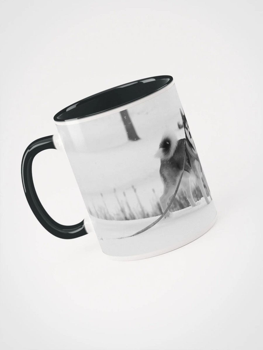 Cute Klee Kai Puppy - Black & White product image (5)