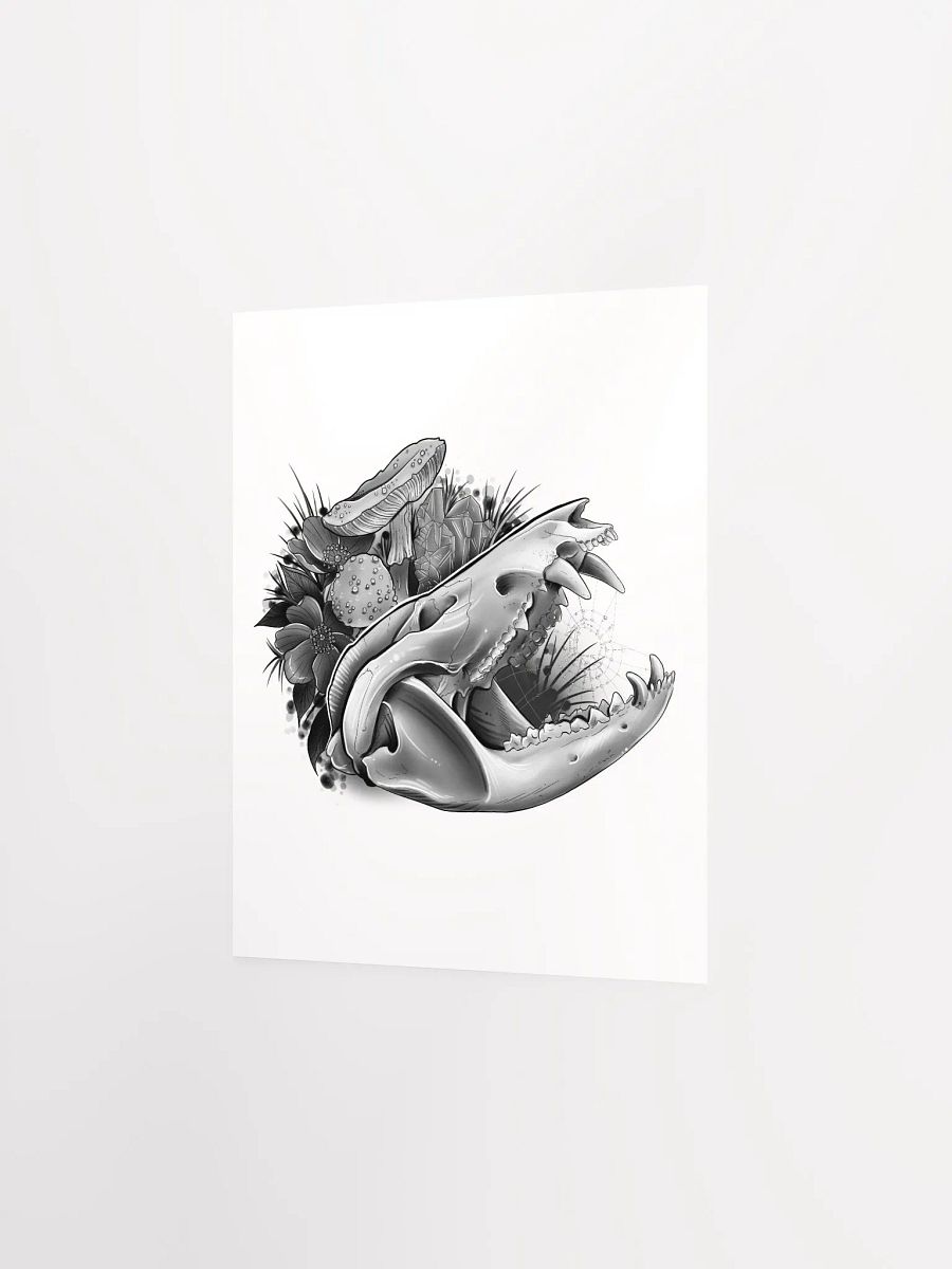 Opossum Skull Poster product image (5)