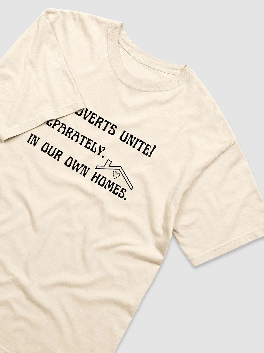 Sarcastic introvert homebody light T-shirt product image (17)