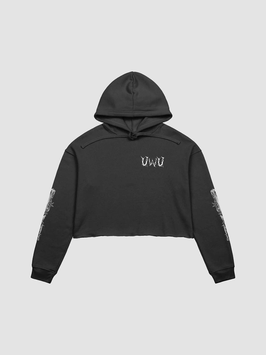 Metal Skull n' Bones Cropped Hoodie product image (2)
