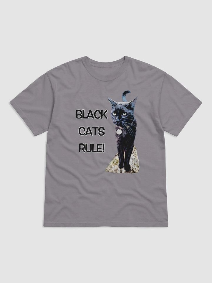 Dexter Barn Cat Celebration Tee product image (3)