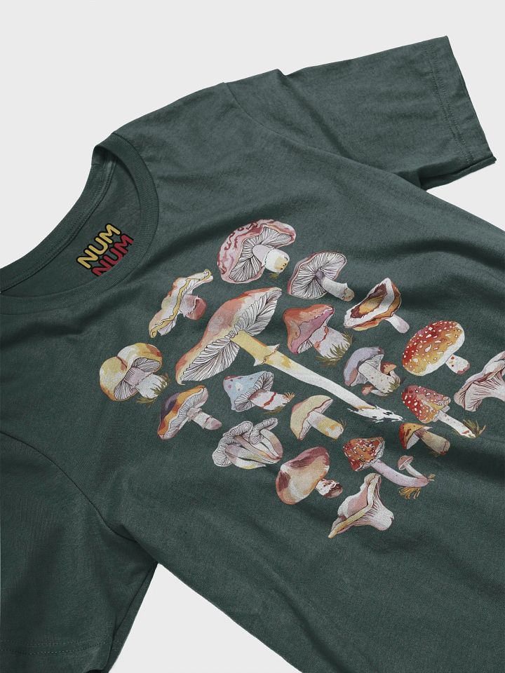 Mushrooms product image (2)