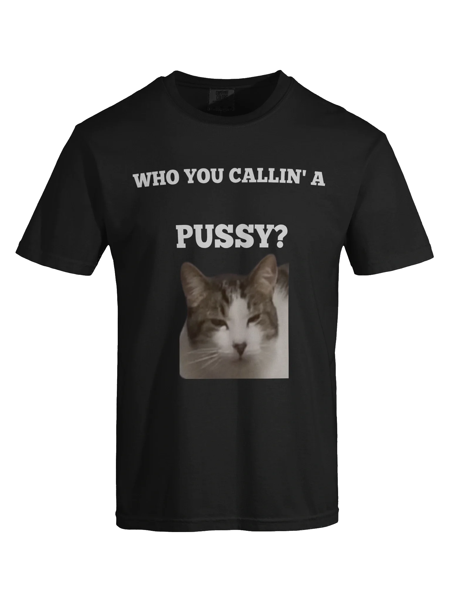 Cat product image (7)