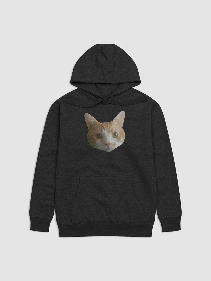 Remembering Bob Hoodie product image (1)