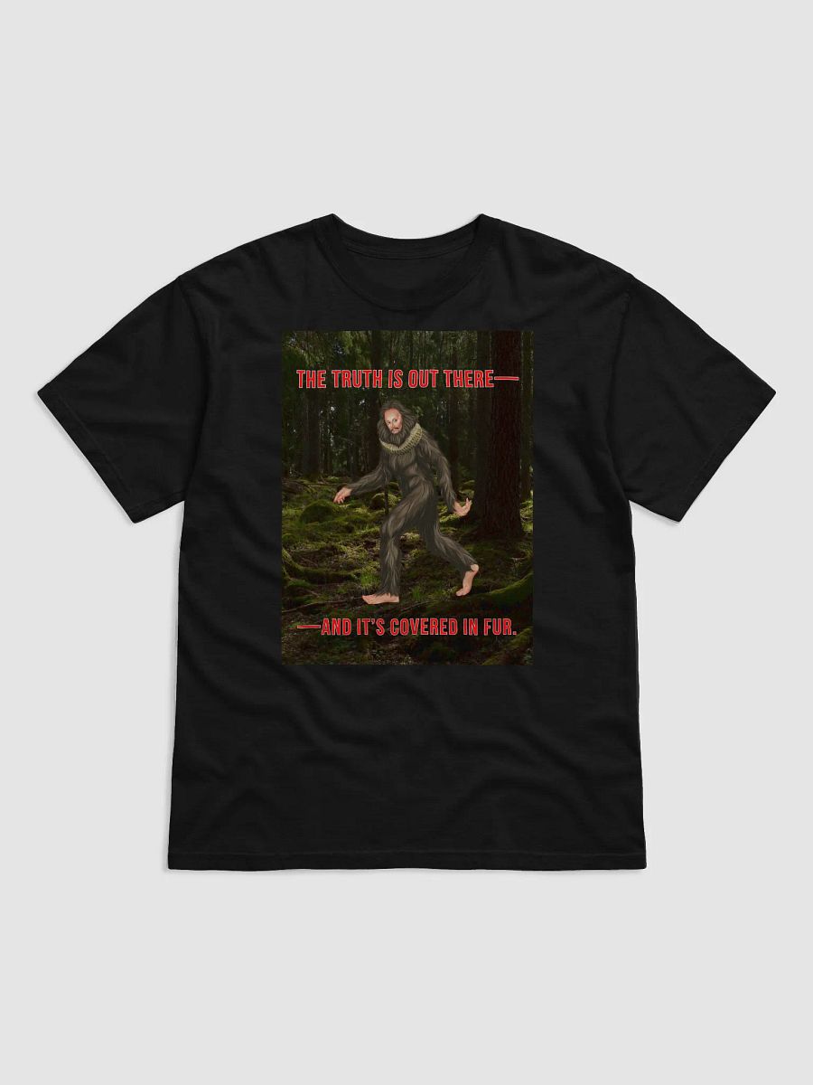The Truth is out there! product image (8)