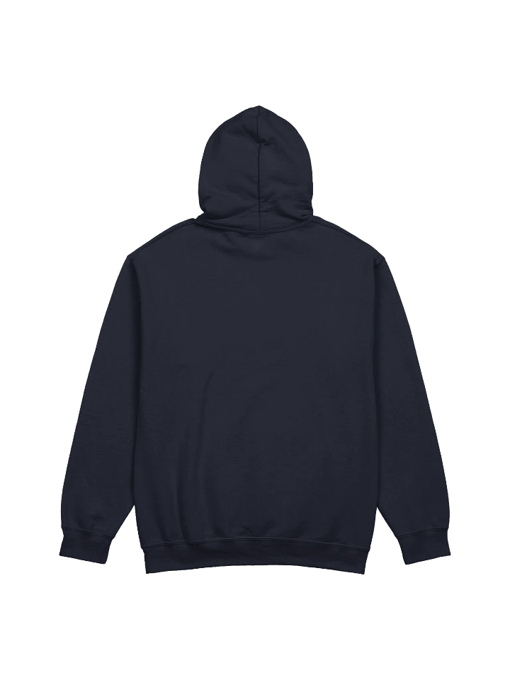 Switch 2 Hoodie product image (15)
