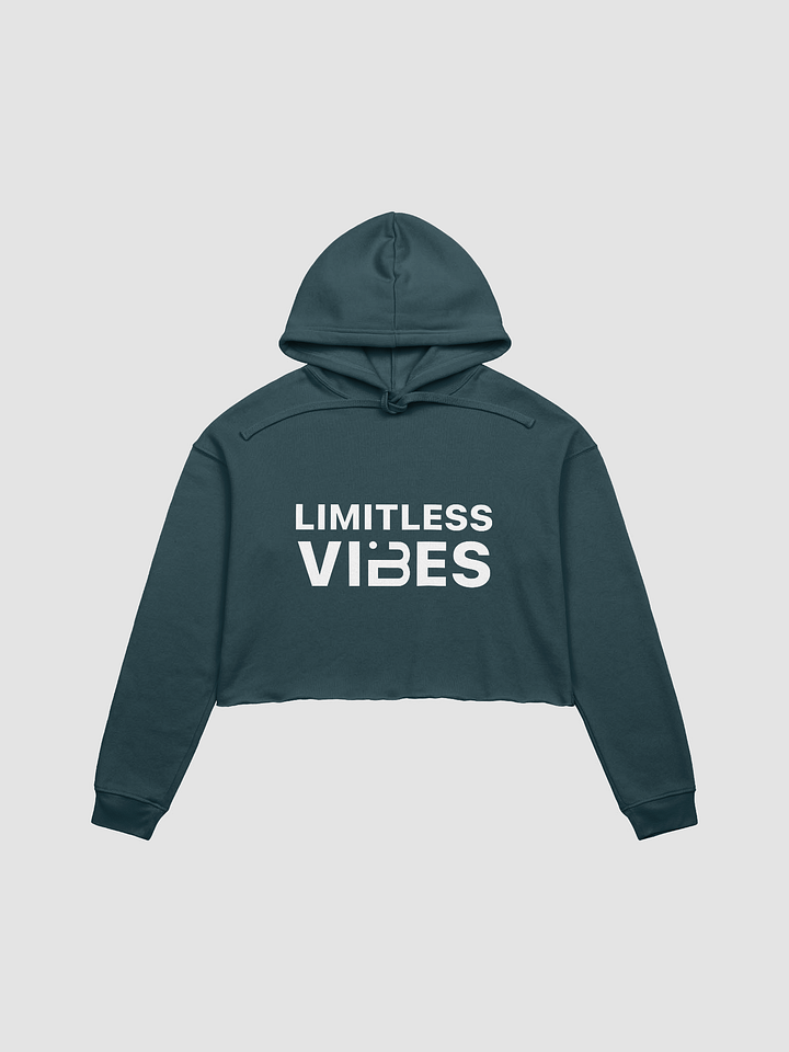 BUIII Limitless Vibes Fleece Crop Hoodie product image (6)