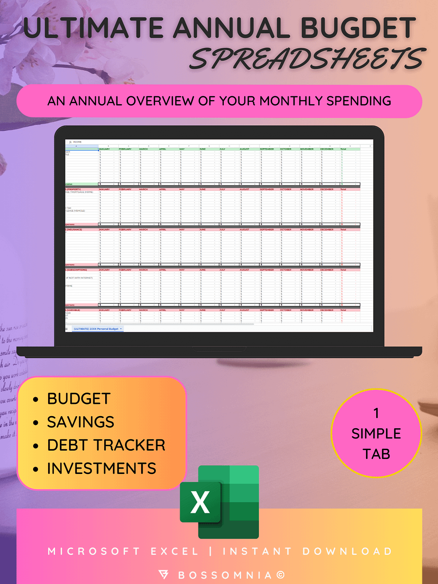 [Microsoft Excel] (ULTIMATE) Financial Budgeting Spreadsheet product image (7)