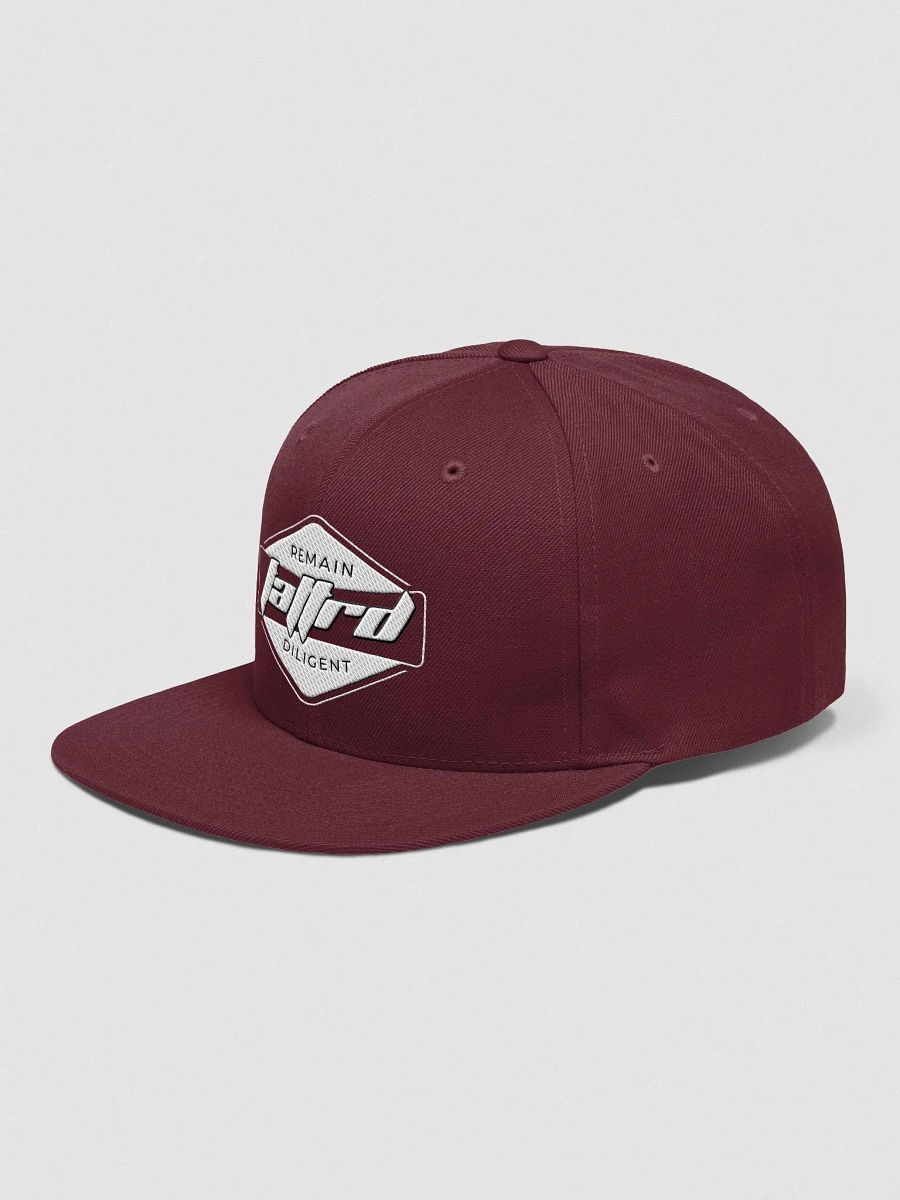 Remain Diligent Hat product image (59)