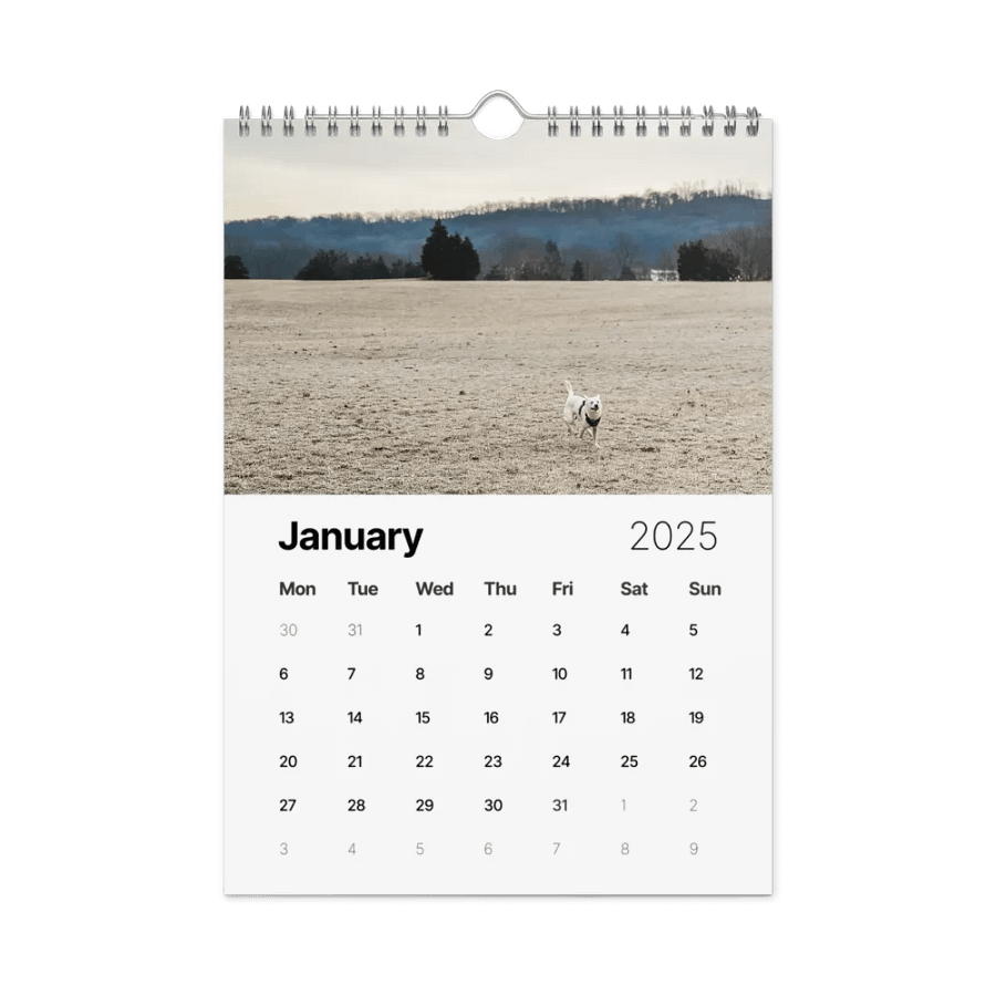 Eli's Favorite 2025 Calendar product image (6)