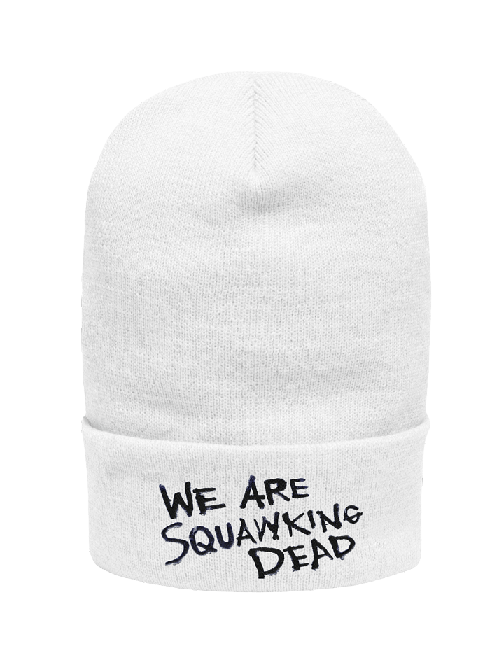 Classic Logo |Beanie product image (1)