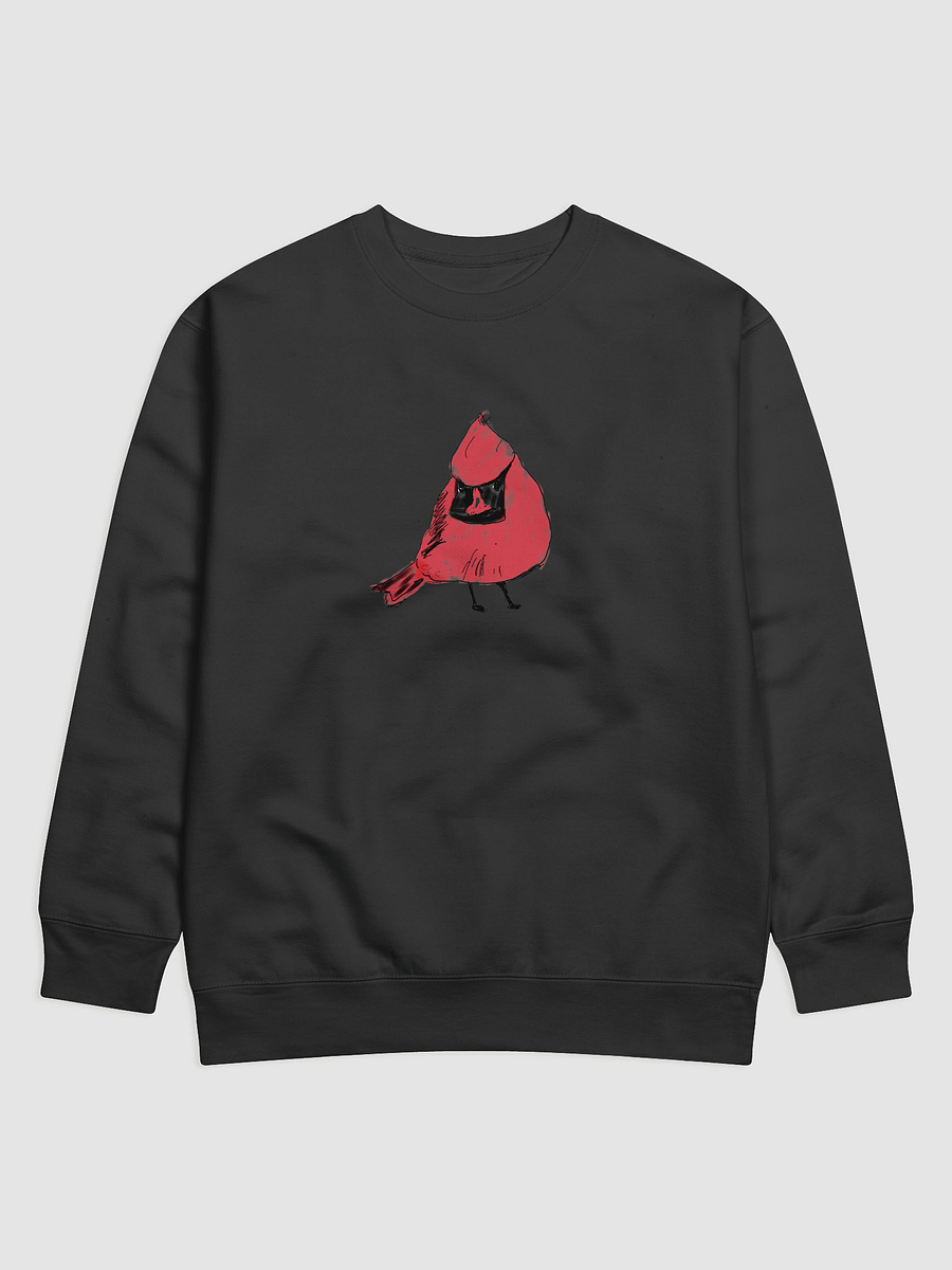Shirley's Cardinal Sweatshirt product image (4)