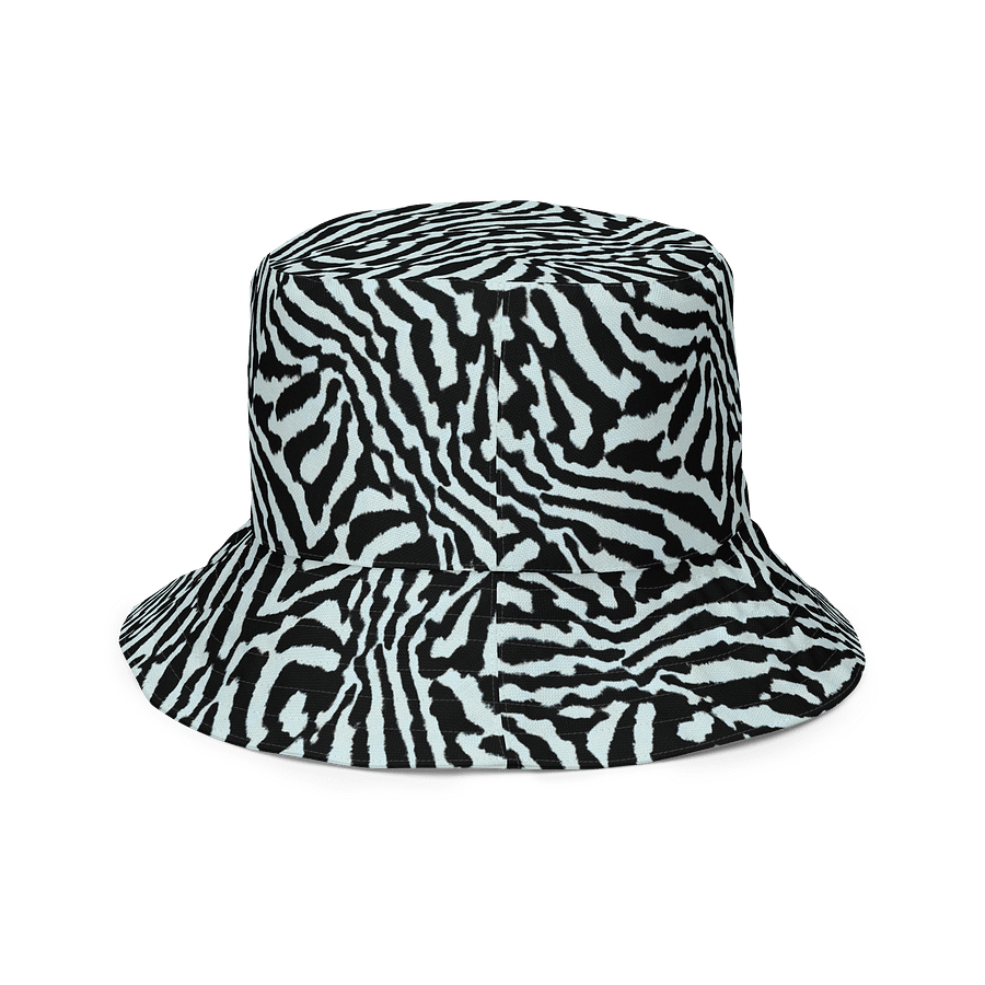 Blue Zebra Hat product image (4)