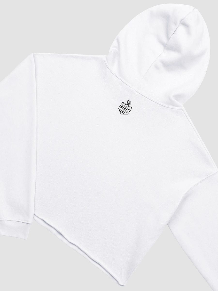 "Eion_Carlow" Bella+Canvas Fleece Crop Hoodie product image (4)