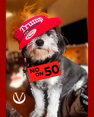 NO on Prop 50
If you believed in sovereignty, not state control.
Because freedom means responsibility.
If you have the heart ...