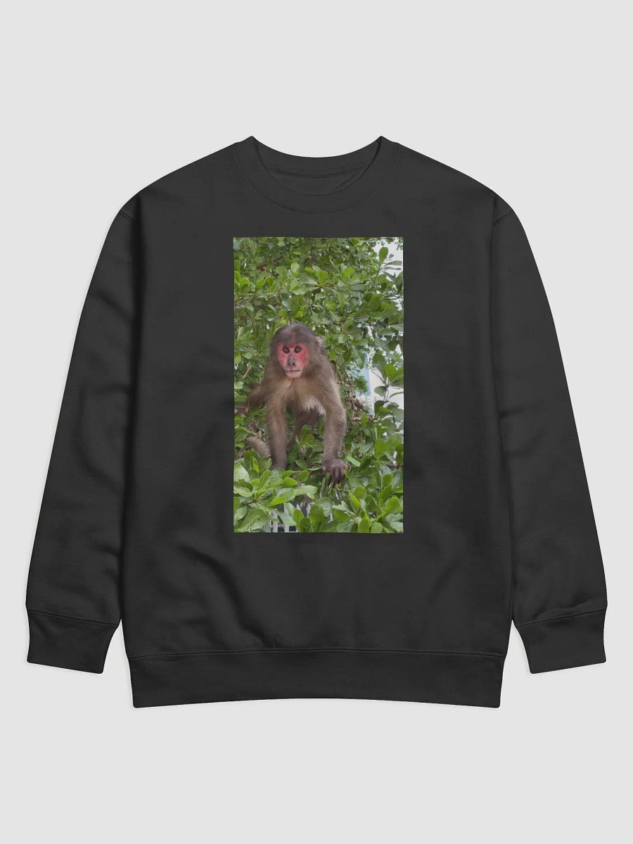 Monkey Coca product image (1)