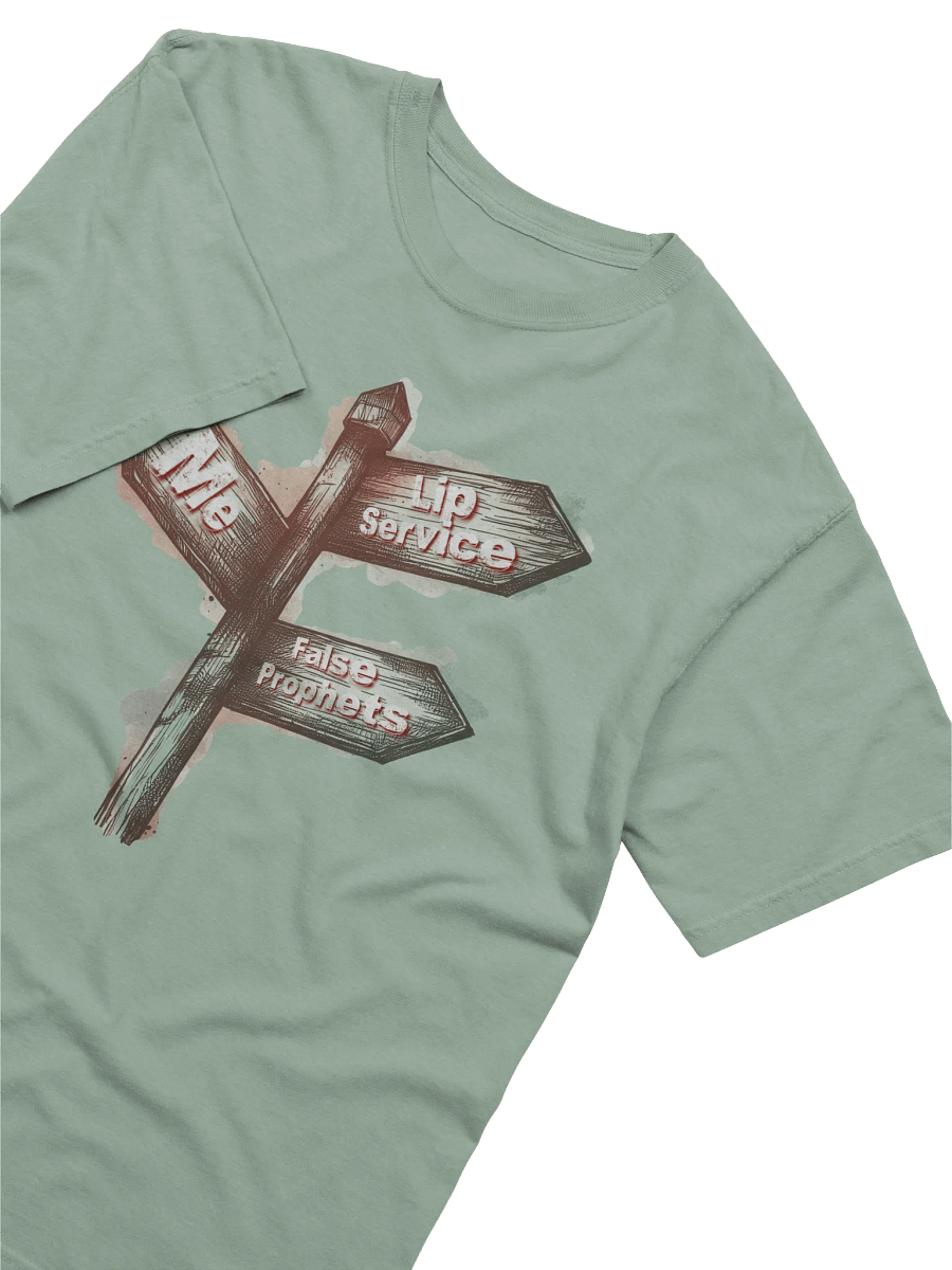 Me vs. Lies Comfort Colors Garment-Dyed Heavyweight T-Shirt product image (35)